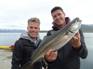 Zomeractie MijnVISmaat