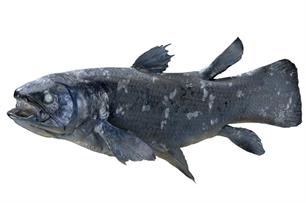 Zwemmende missing links : Hoe landdieren uit vissen zijn ontstaan